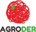 website logo